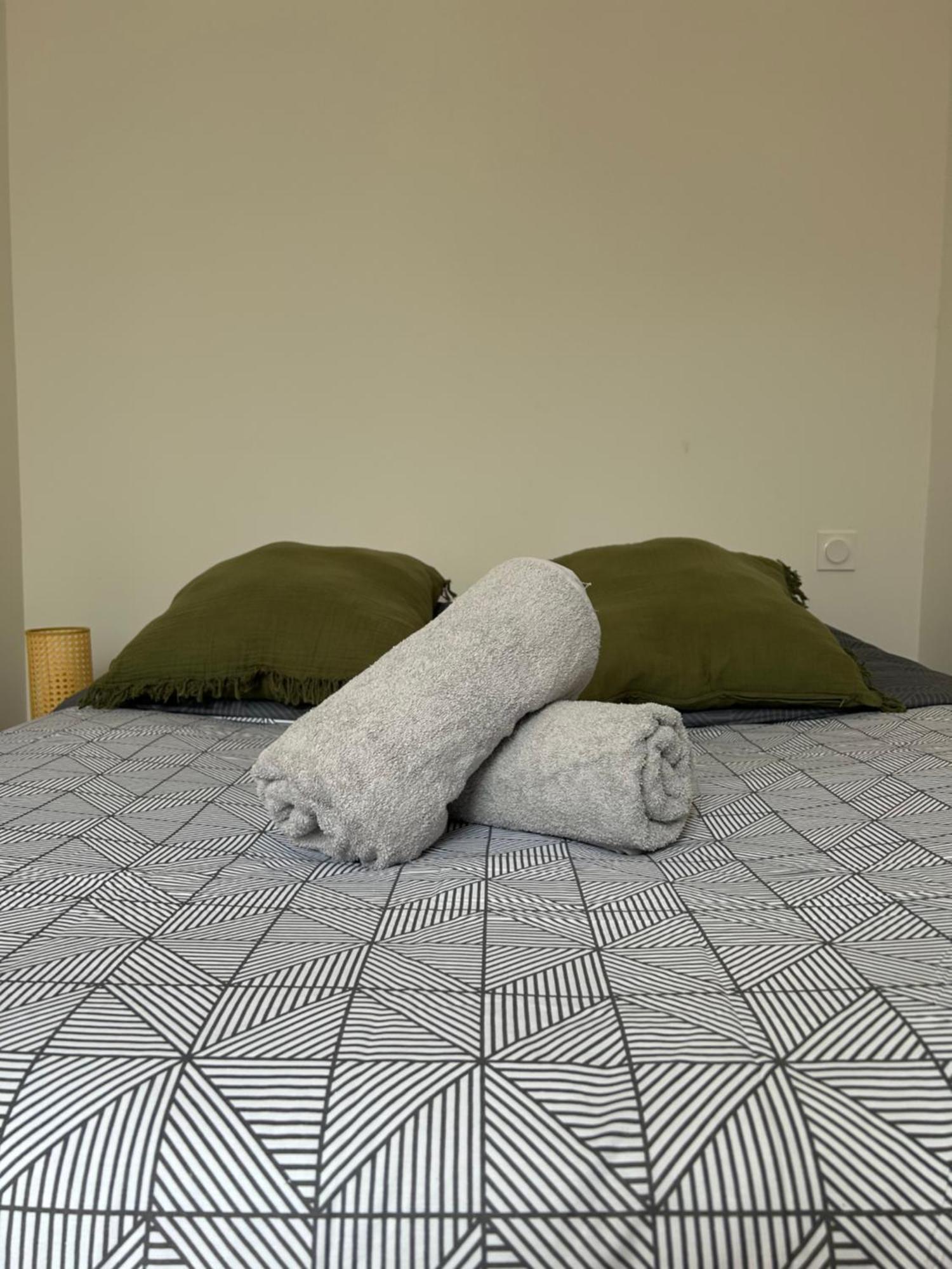 Le Toulousain 101 - Appartement Calme En Hypercentre - Quartier Jeanne D'Arc Toulouse Bagian luar foto